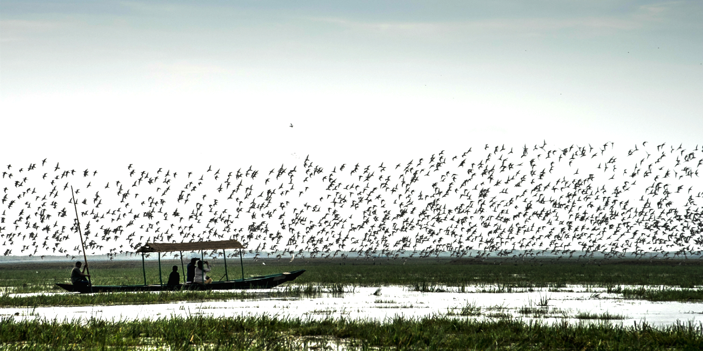 Mangalajodi Ecotourism