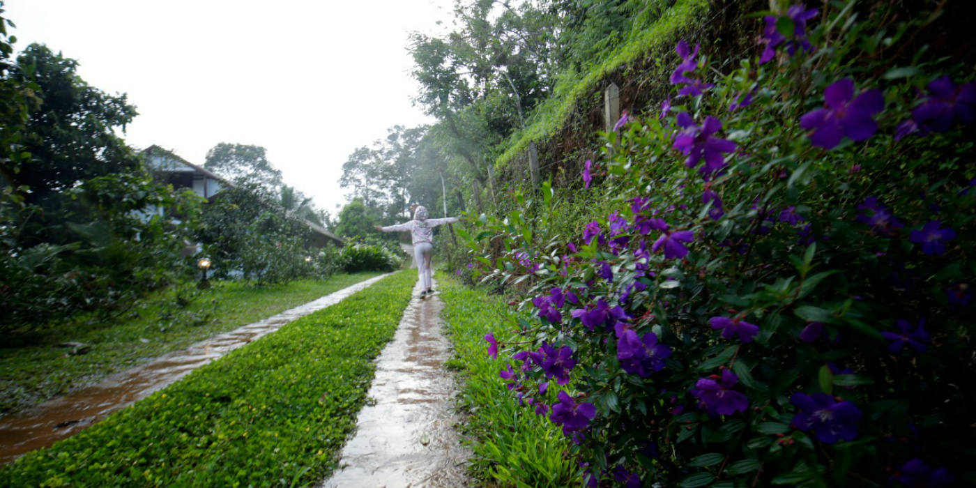 After the Rains Resort