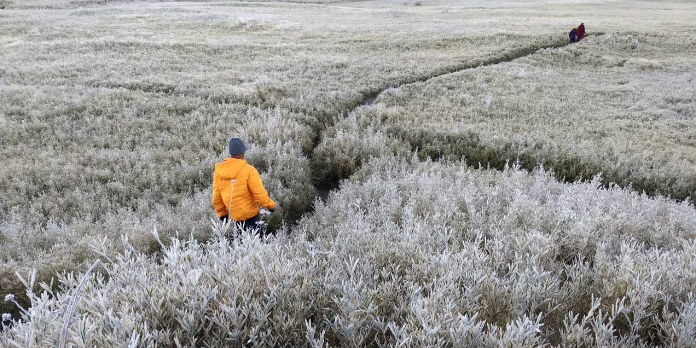 ChaloHoppo to a Frozen Dzukou Valley