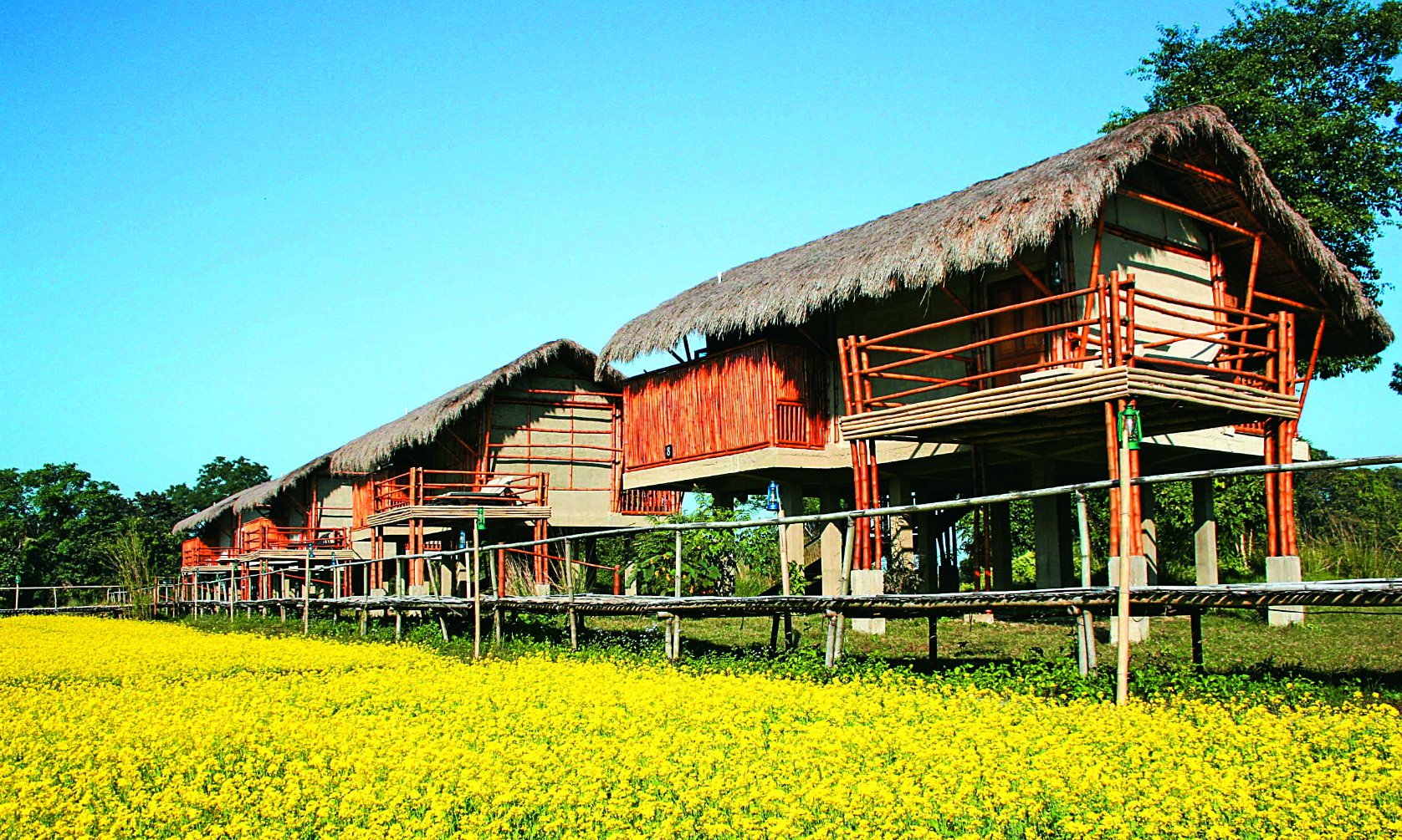 Diphlu River Lodge