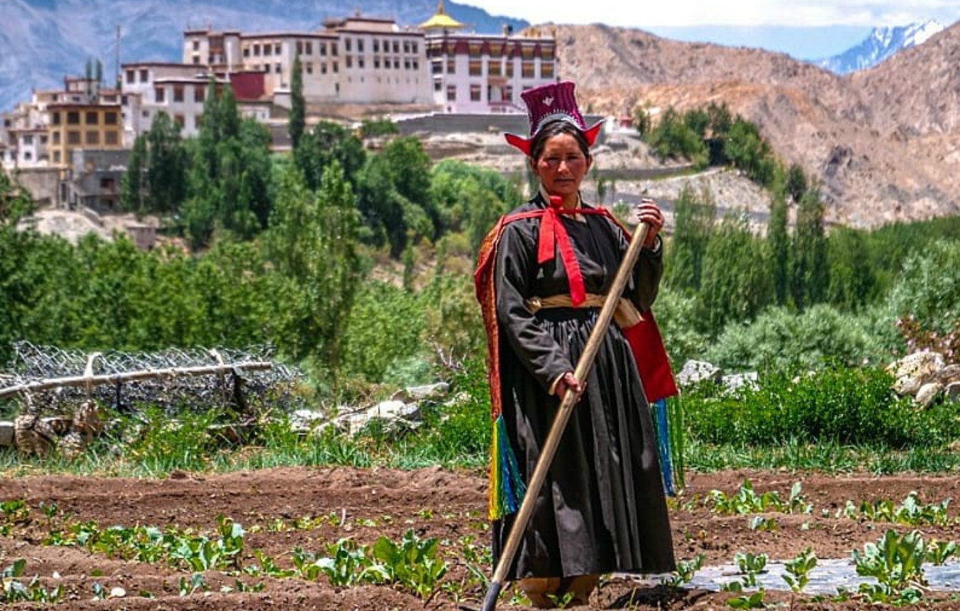 Himalayan Farmstays