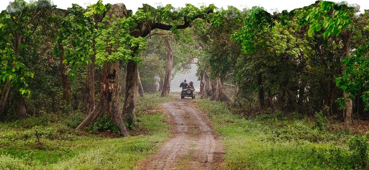 Into the Wild – Meghalaya