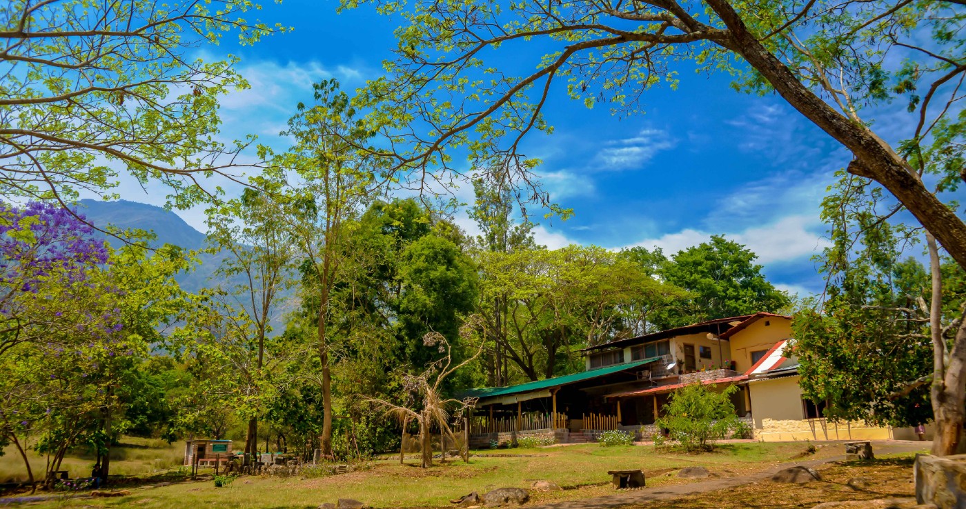 Explore Jungle Hut at the foothills of Nilgiri