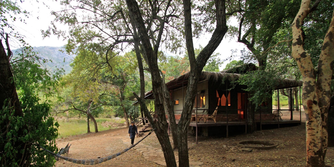 chambal safari lodge