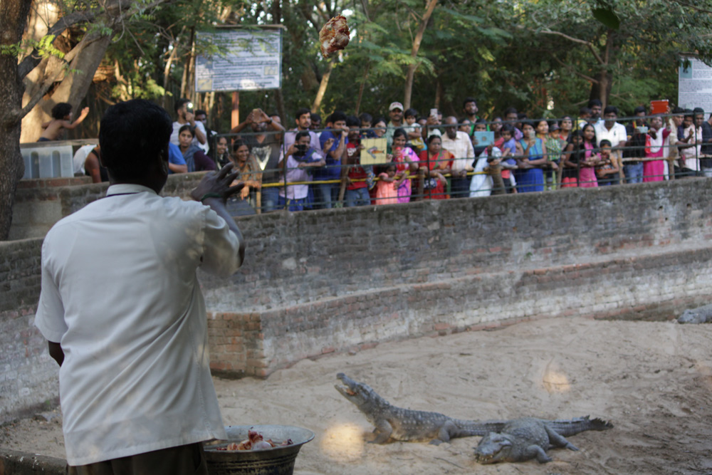 Madras Crocodile Bank Trust & Centre for Herpetology