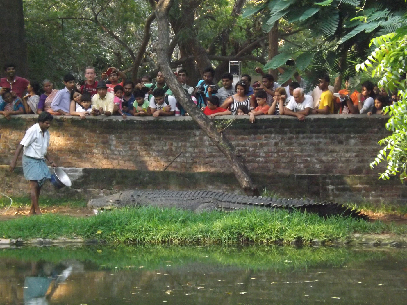 Madras Crocodile Bank Trust & Centre for Herpetology