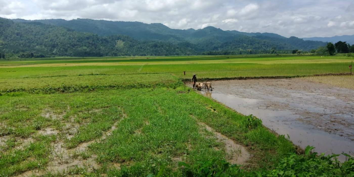 Majuli Tourism