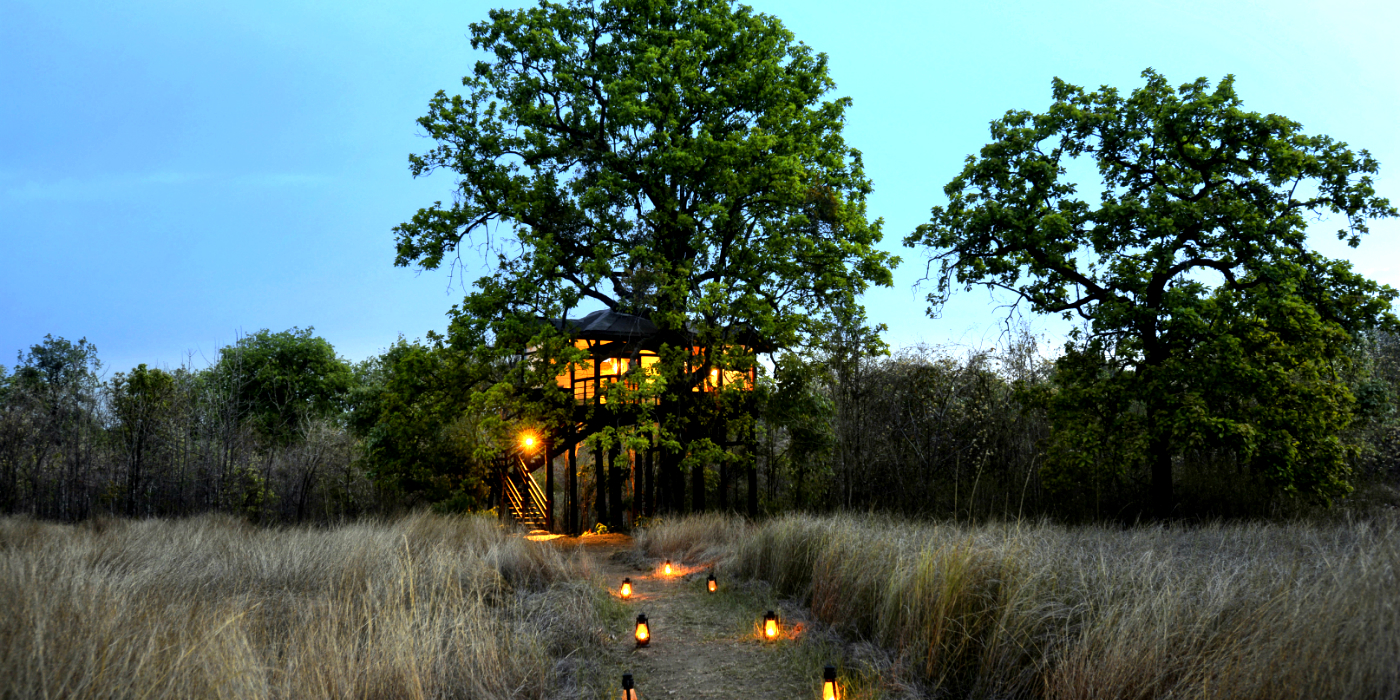 Pench Tree Lodge