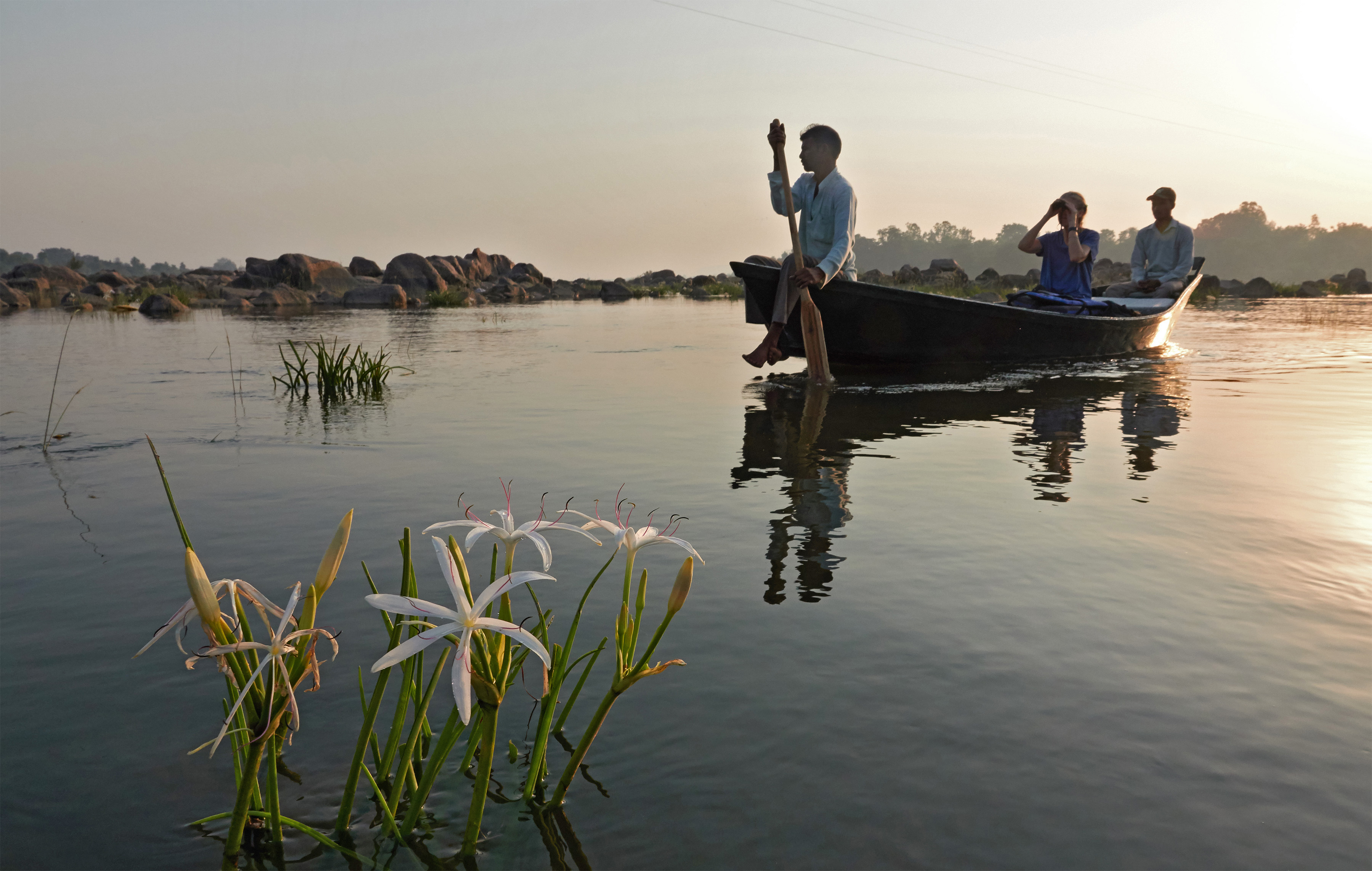 THE SARAI AT TORIA