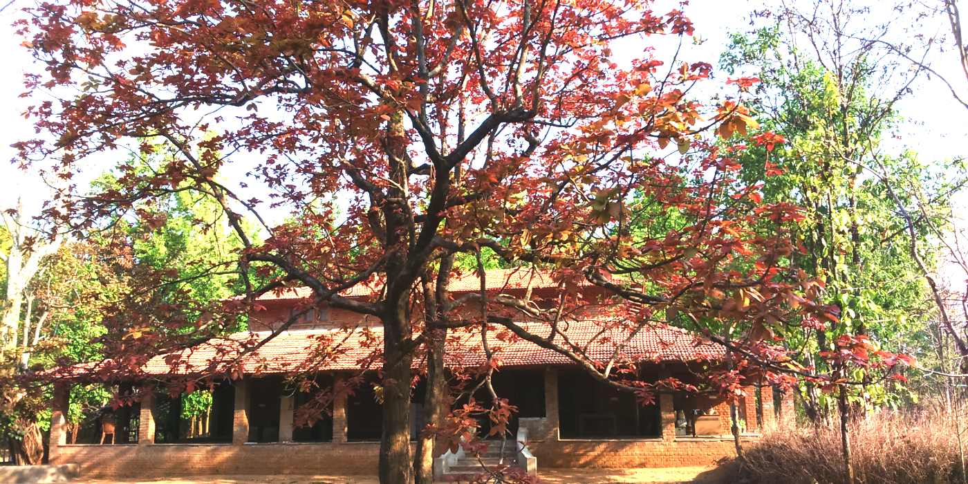 Salban - the Kanha Homestay