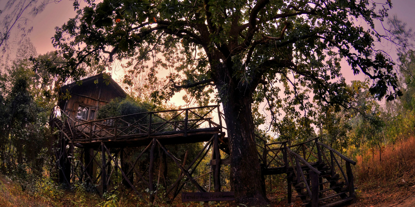 Tree House Hideaway