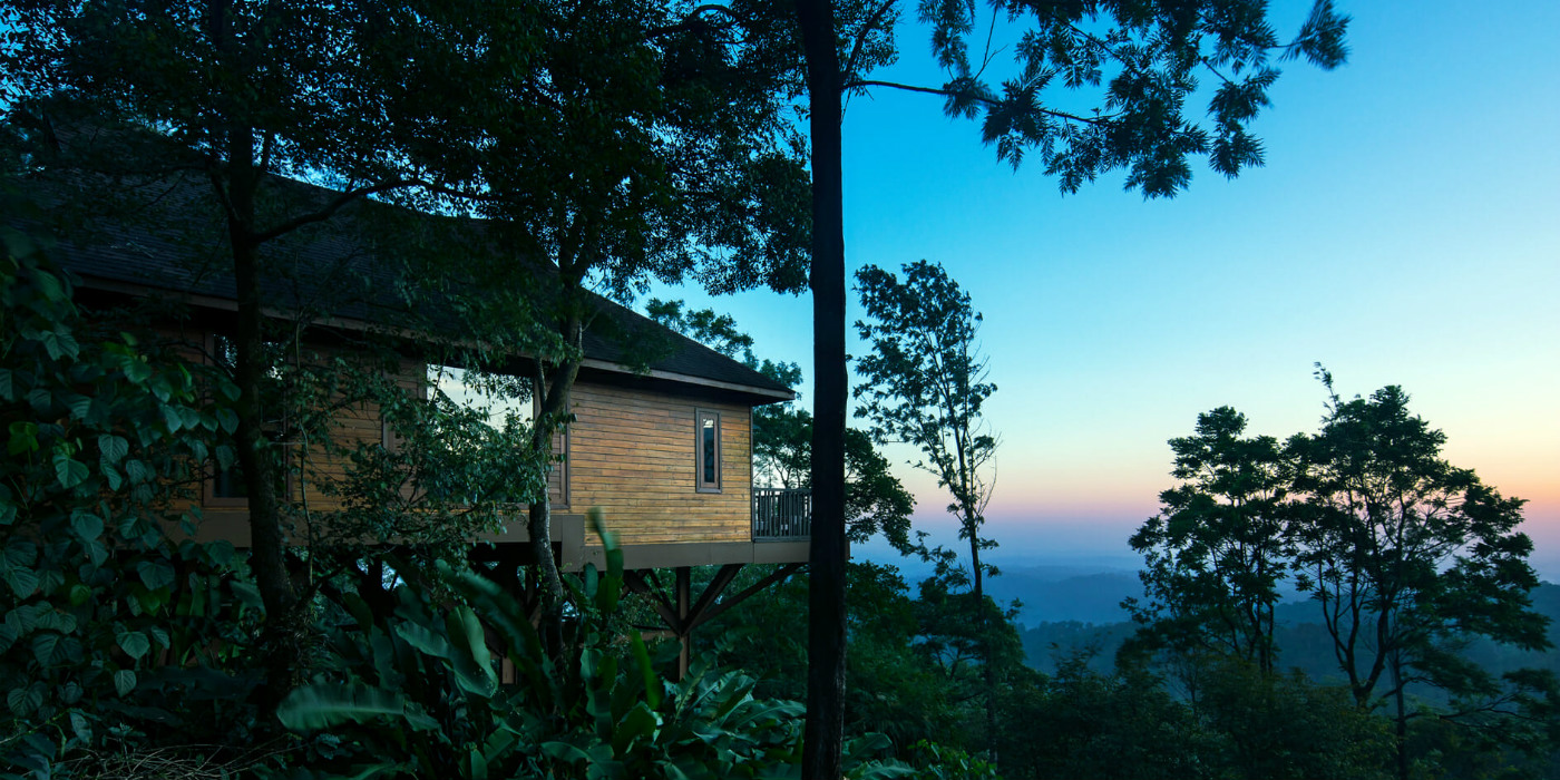 The Tamara Coorg