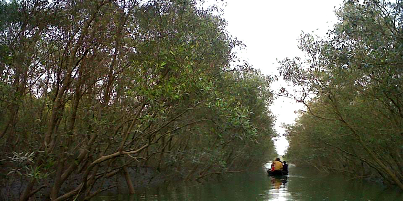 Tour de Sunderbans