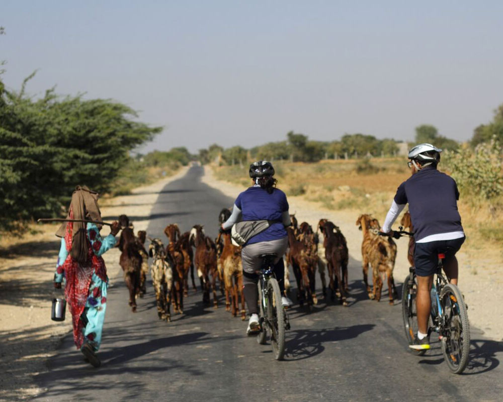 Rajasthan Bike Tour