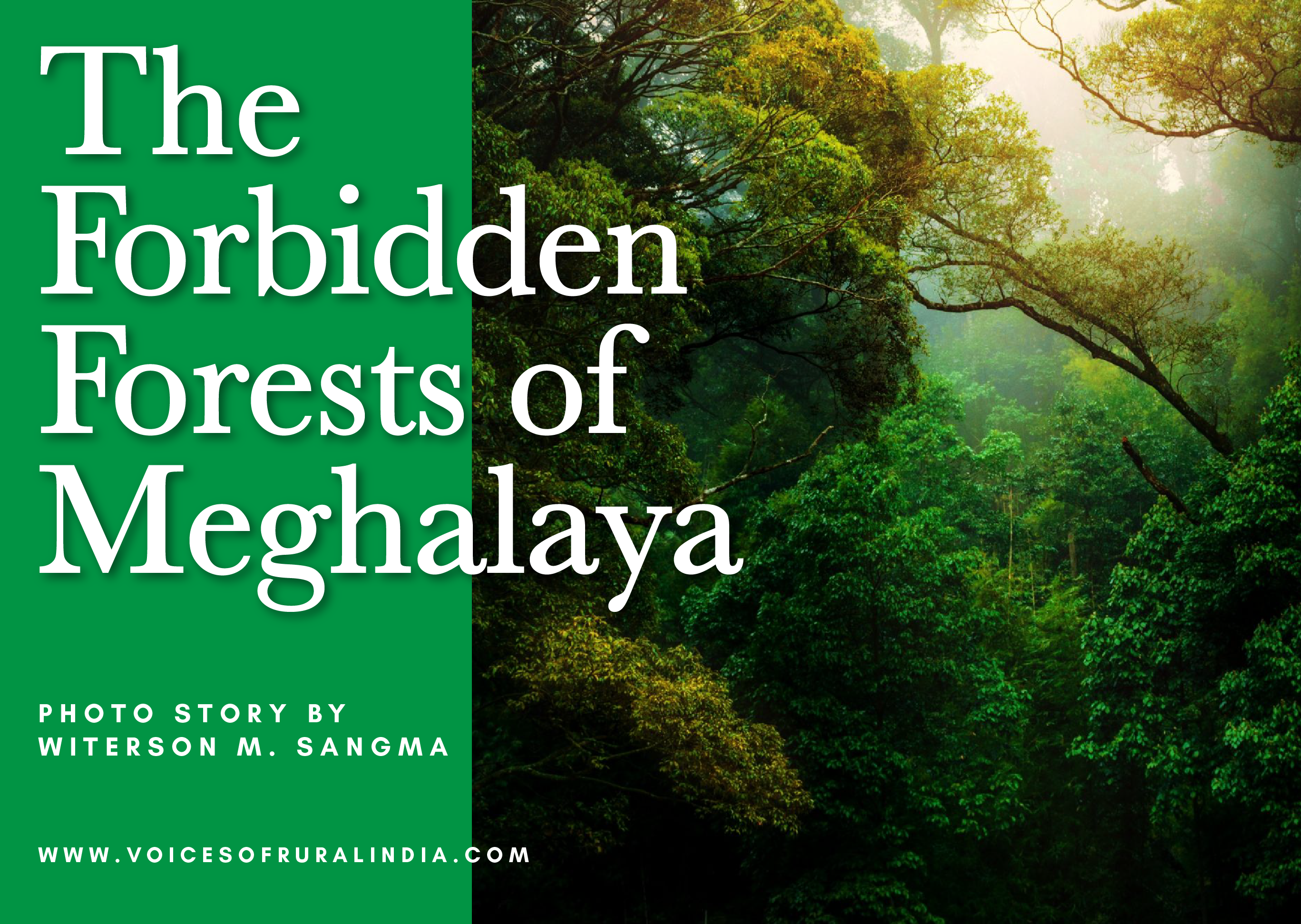 The Forbidden Forests of Meghalaya