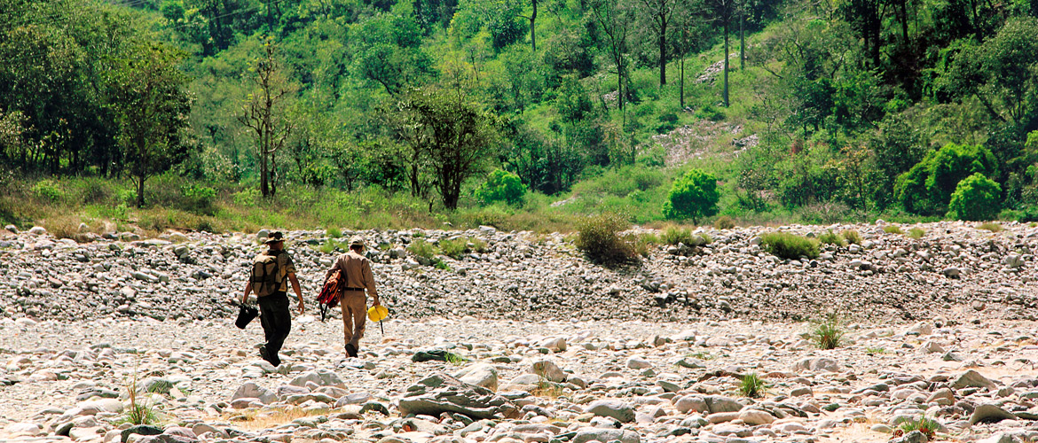 Uttarakhand: In Corbett Country