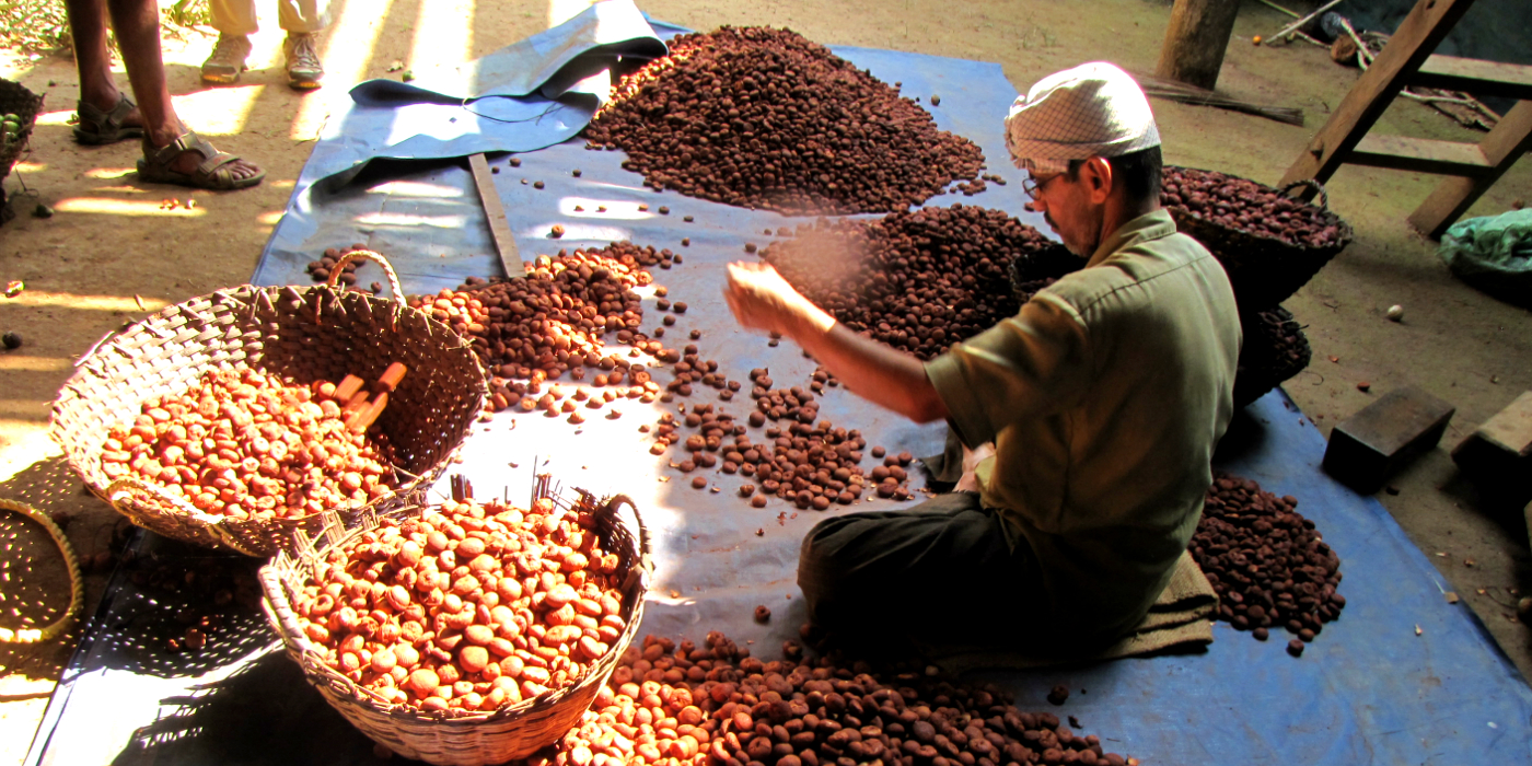 Spice Gardens of Hulgol