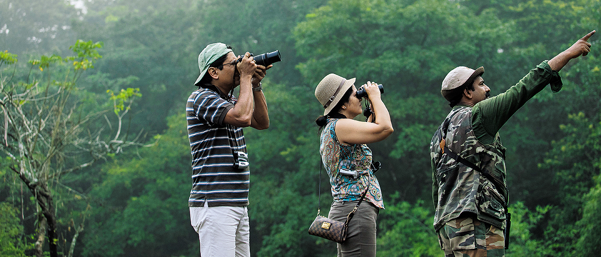 Kerala: Birding in Thattekkad