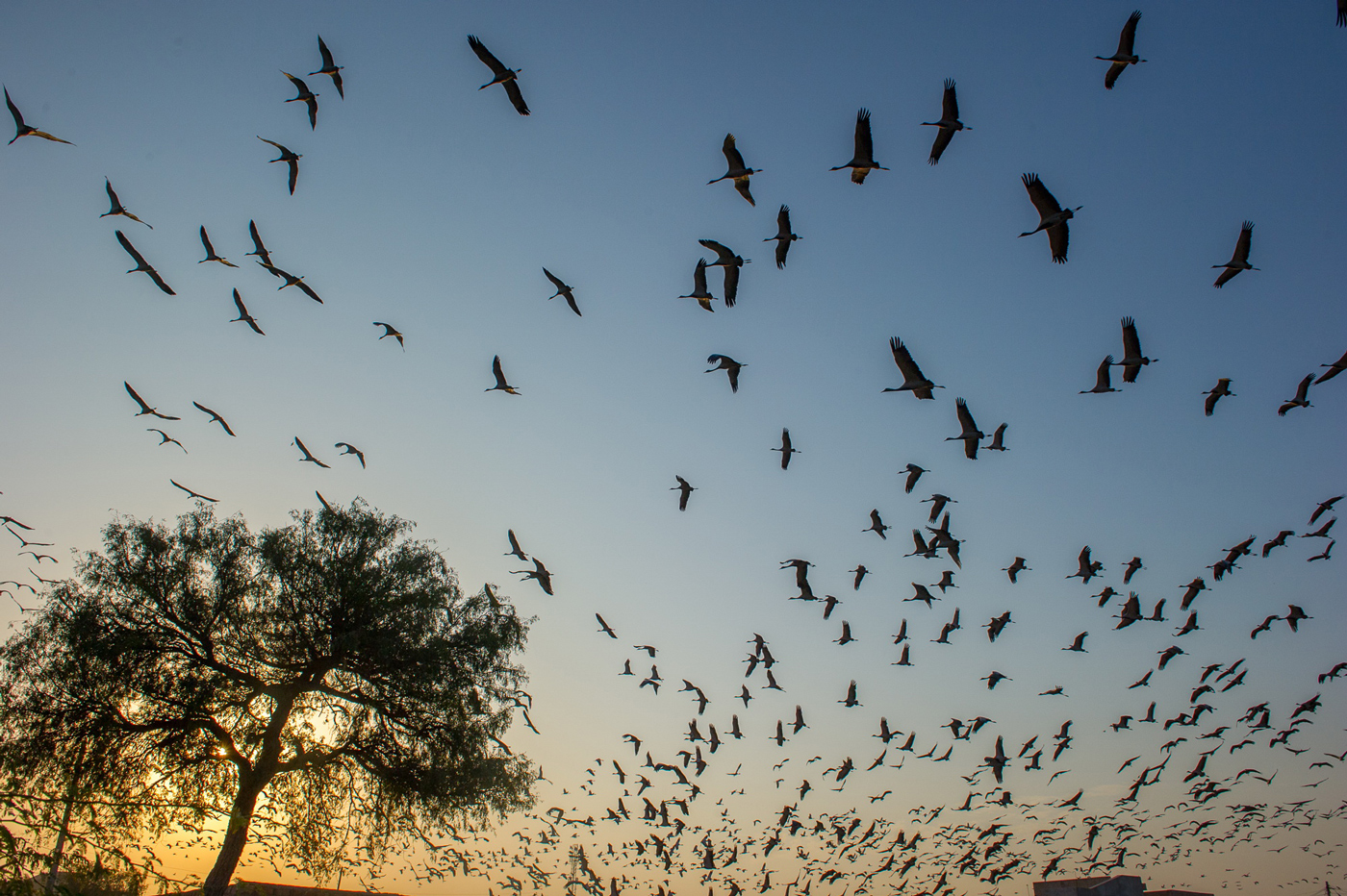 HACRA Community and Nature Tourism