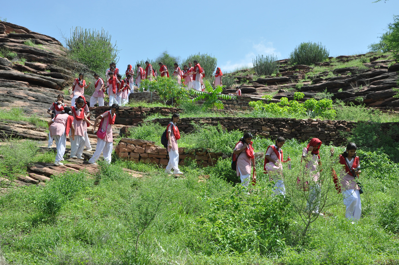 Arna Jharna: The Desert Museum of Rajasthan