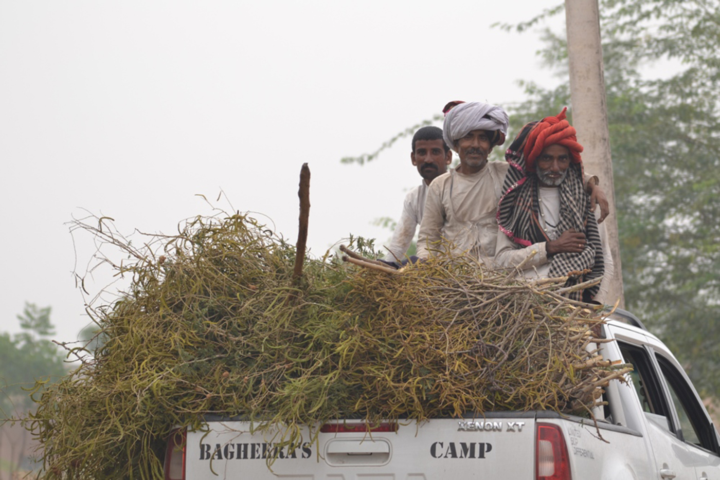 Bagheera’s camp