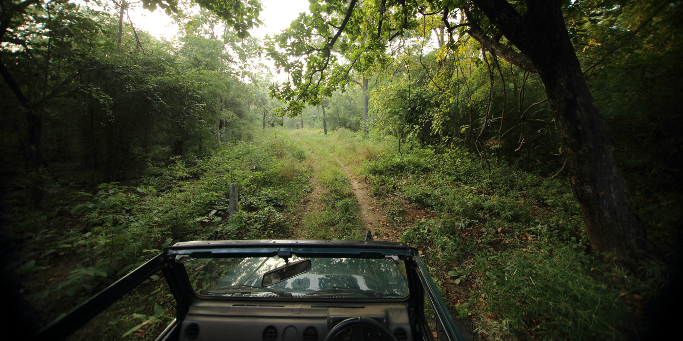 Svasara Jungle Lodge at Tadoba