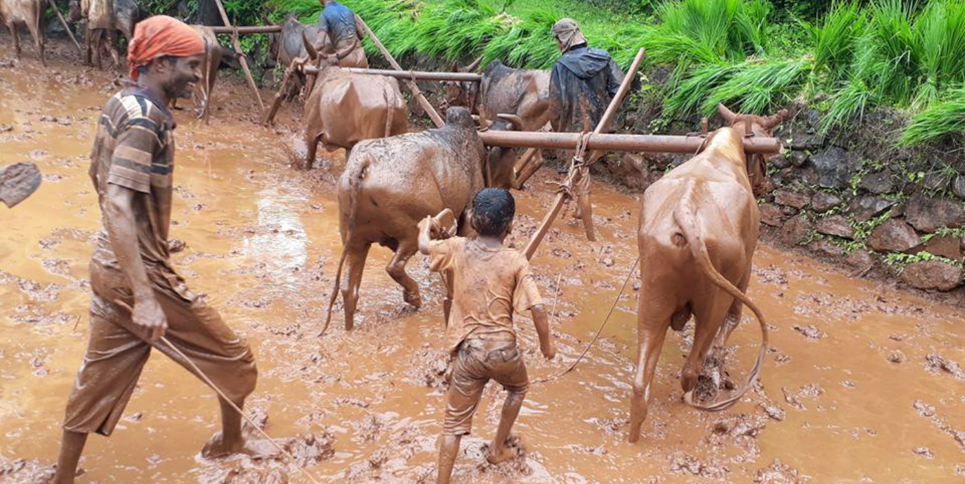 rural tourism in maharashtra